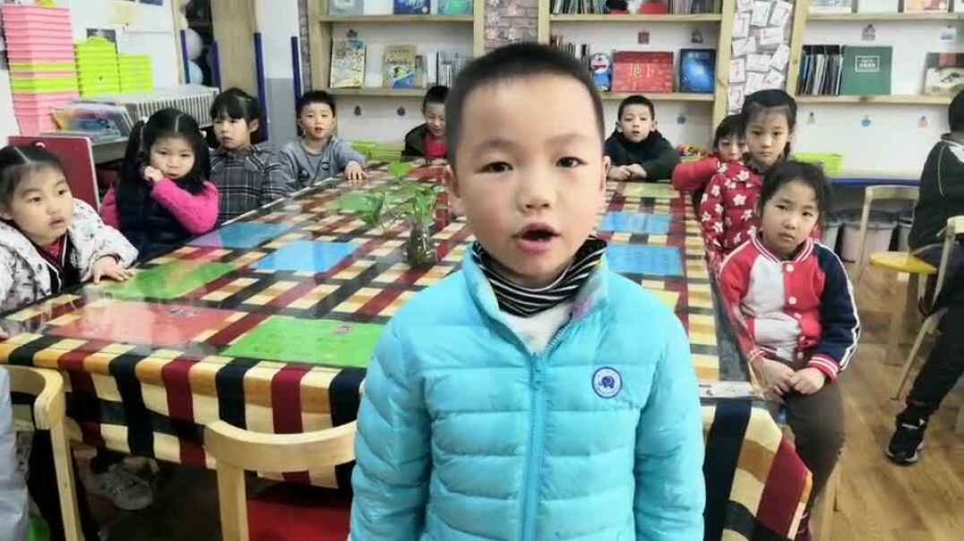 语文能力