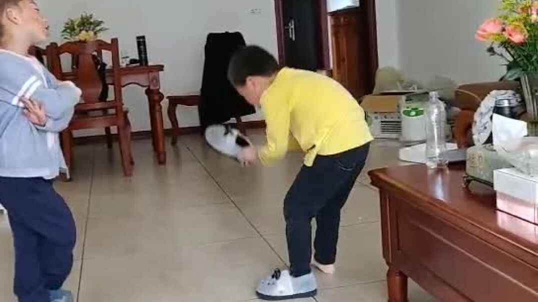 和小伙伴的玩乐