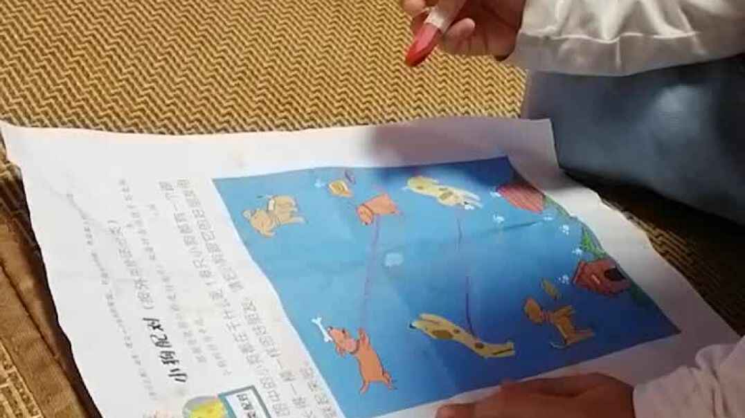 VID_20190925_203634.mp4