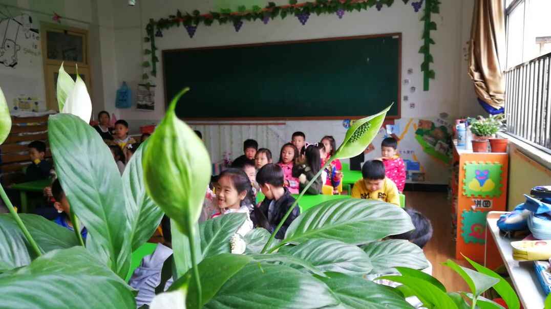 行动课程 表达能力