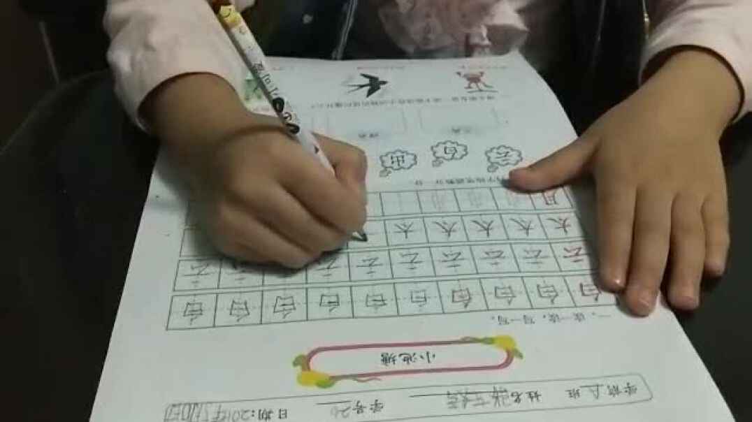 写一写6