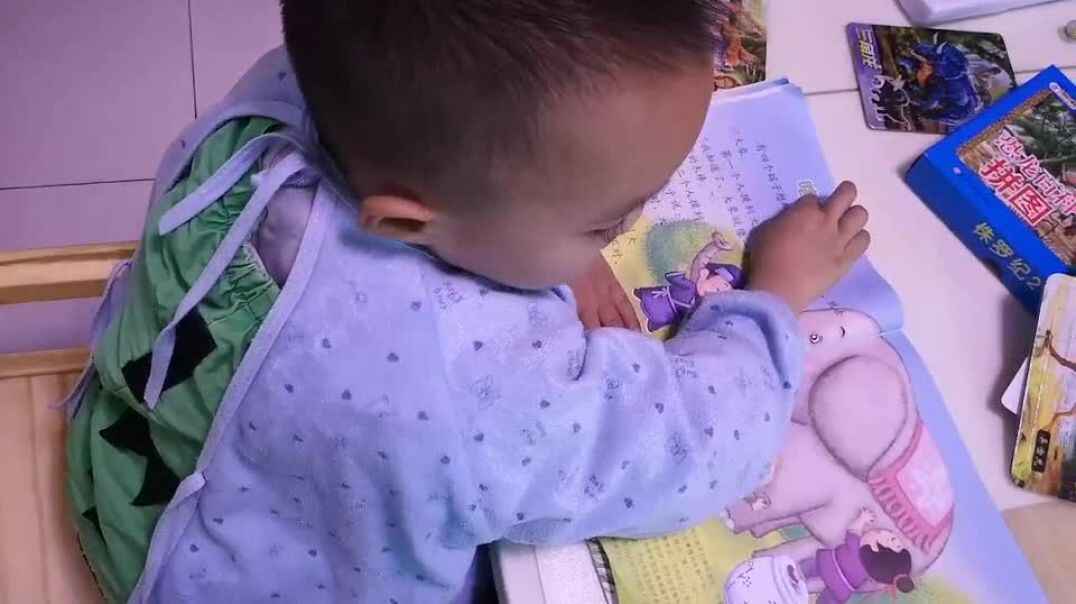 小象的故事
