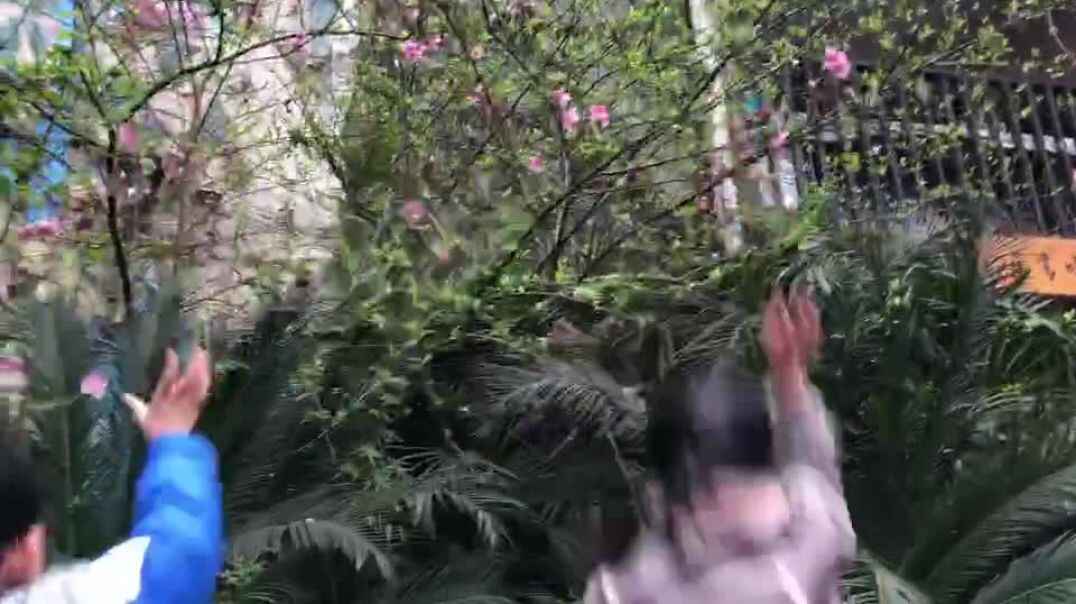 我的运动之旅