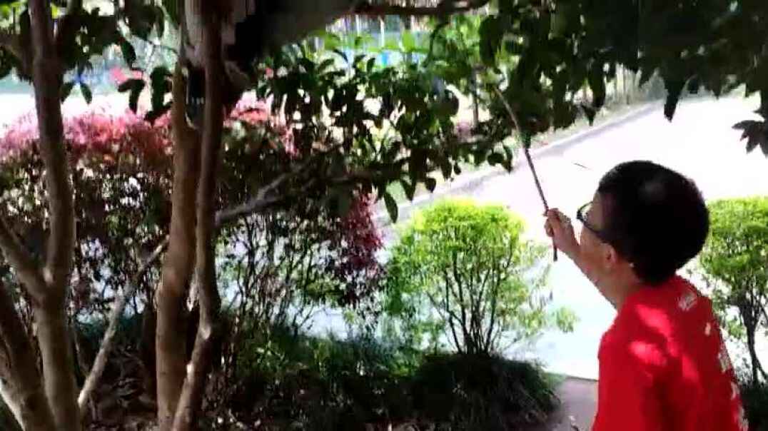 玩耍