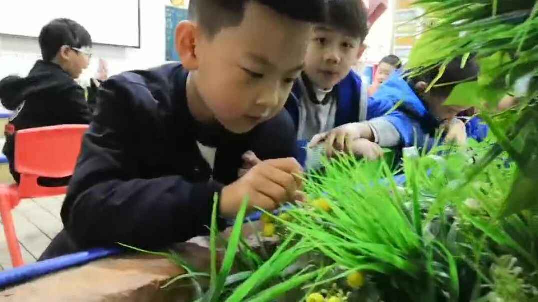 观察事物