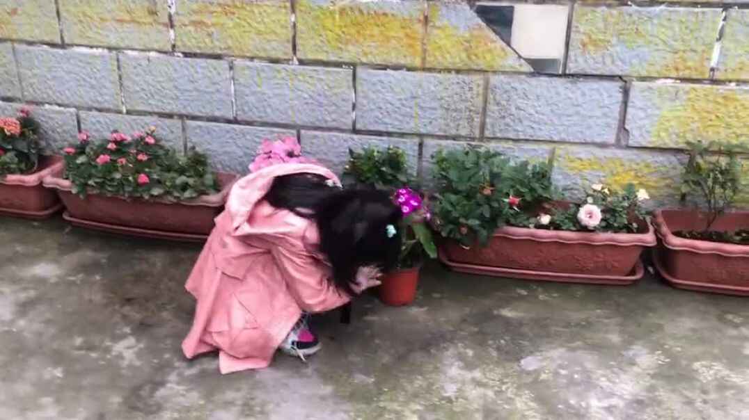 好香的画