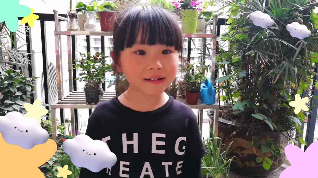 有趣的其其4