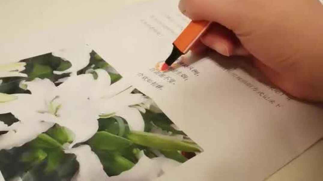 把你喜欢的圈出来