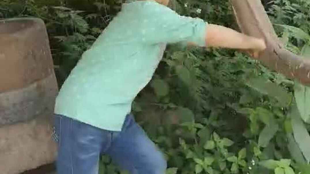 玩耍