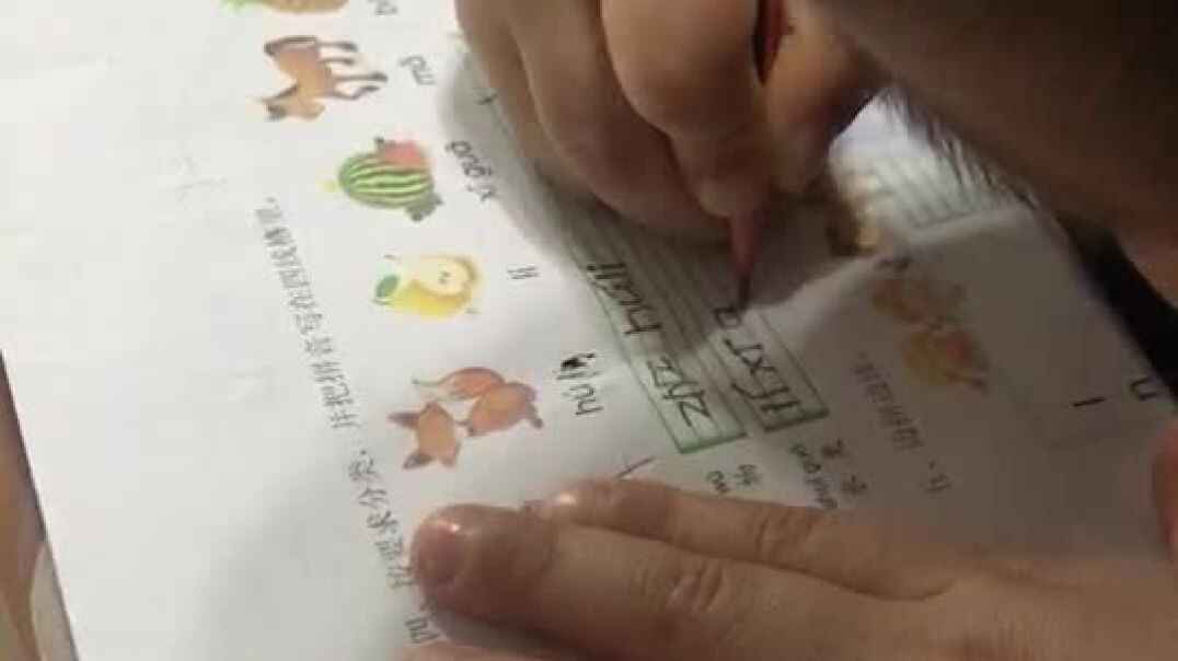 爱学习4