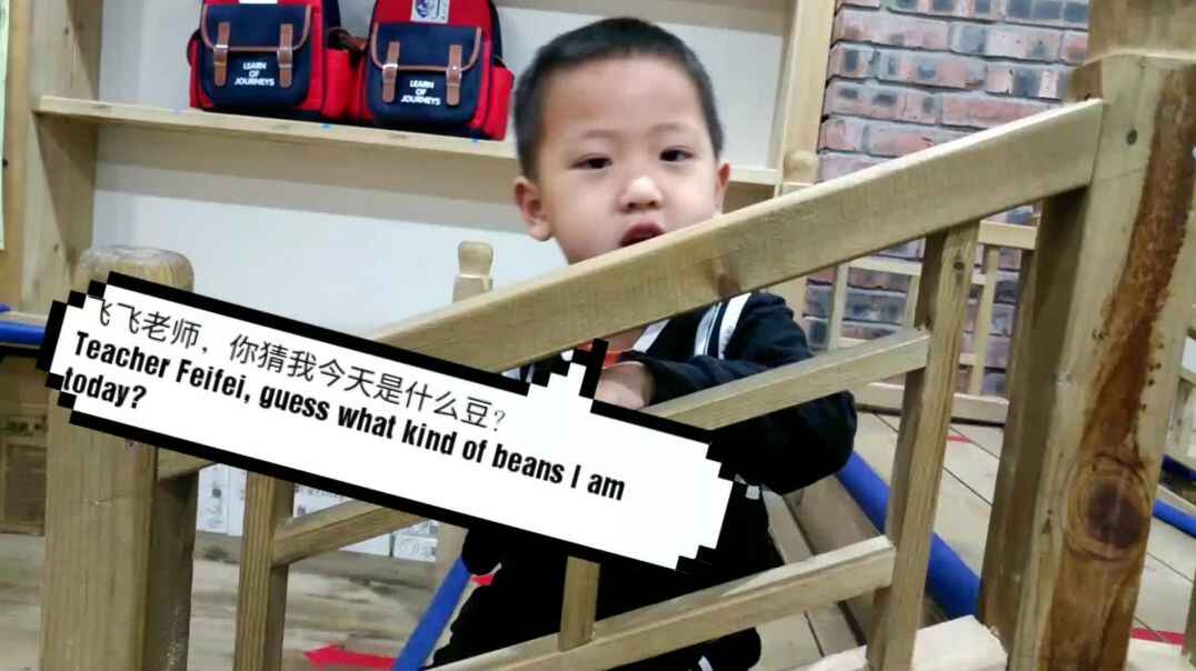 猜猜我是什么豆.