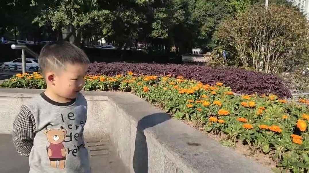 好漂亮的花