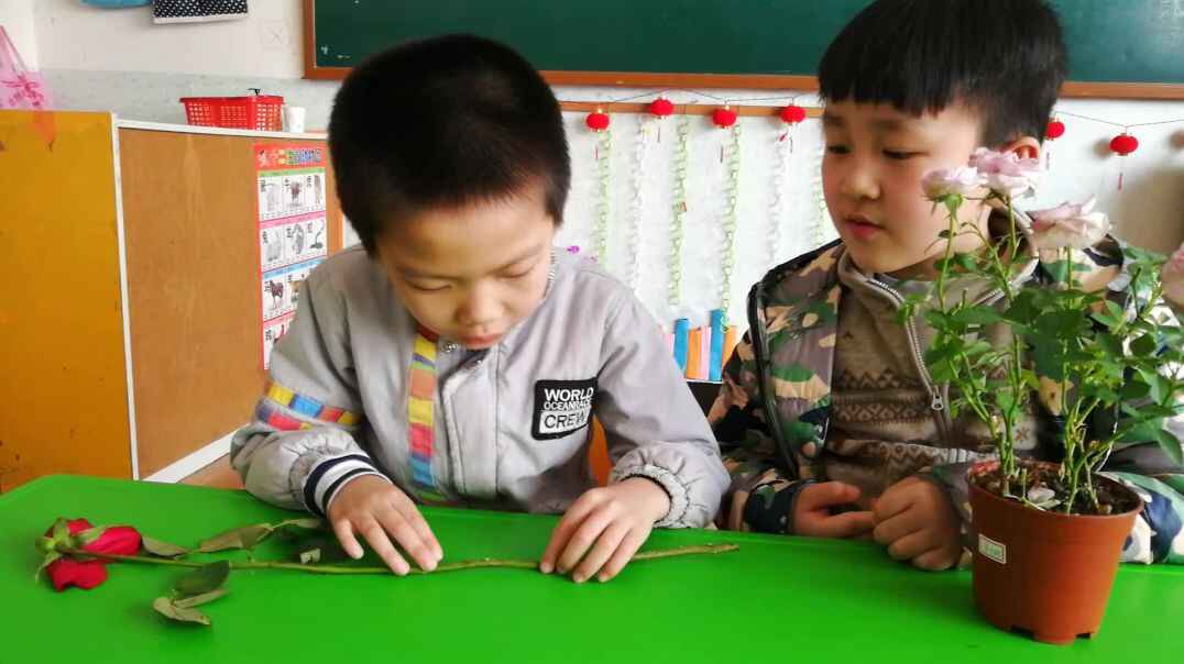 行动课程  表达能力