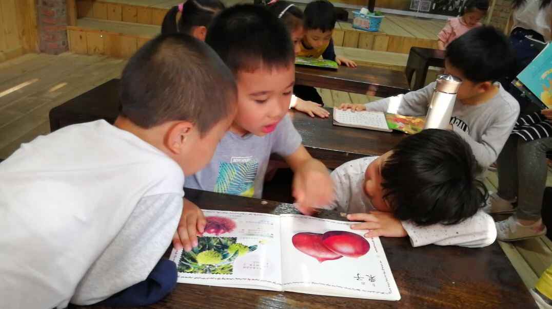 认知课程 语文能力 (2)