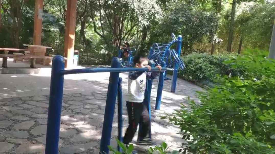 运动