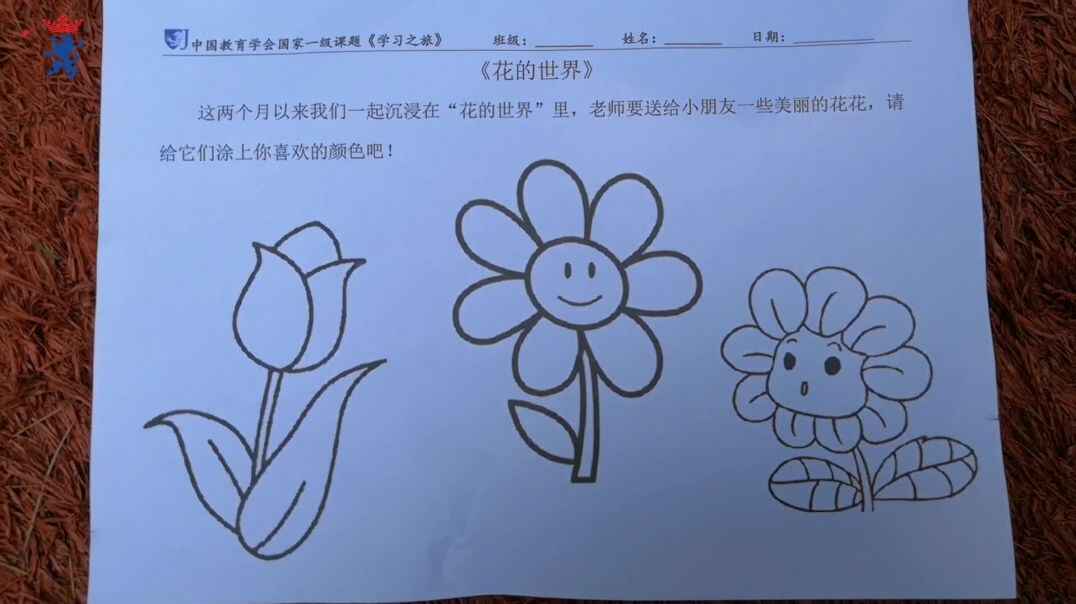 花的世界