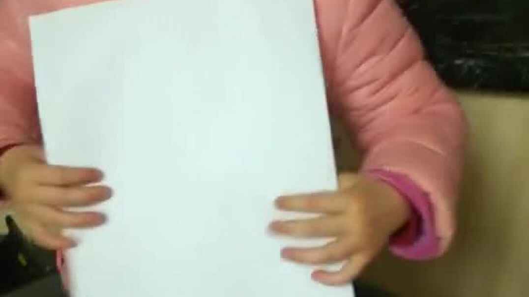鑫鑫的手语操2