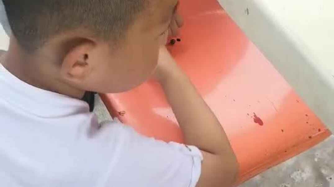 周末时光