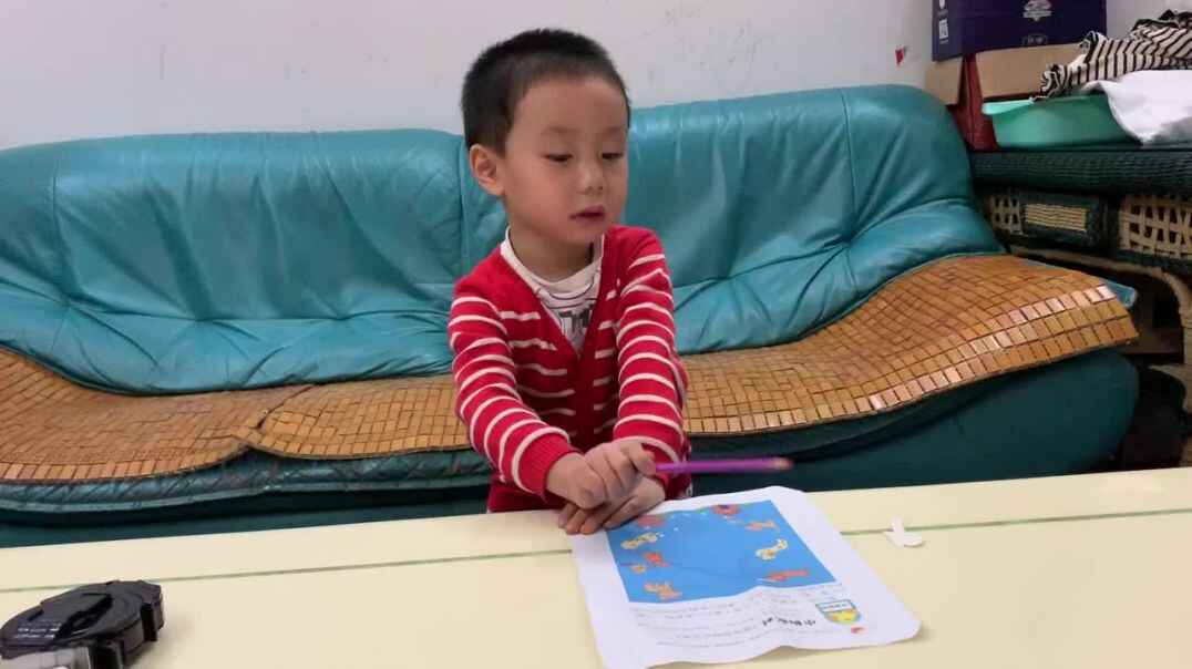 小狗配对.MOV