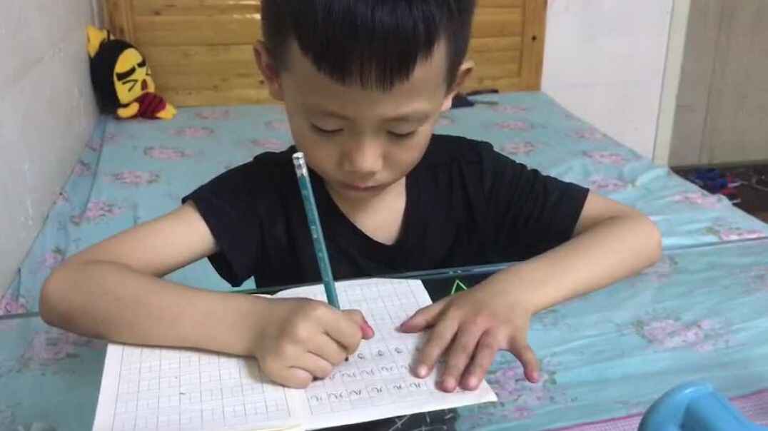 作业完成 (3