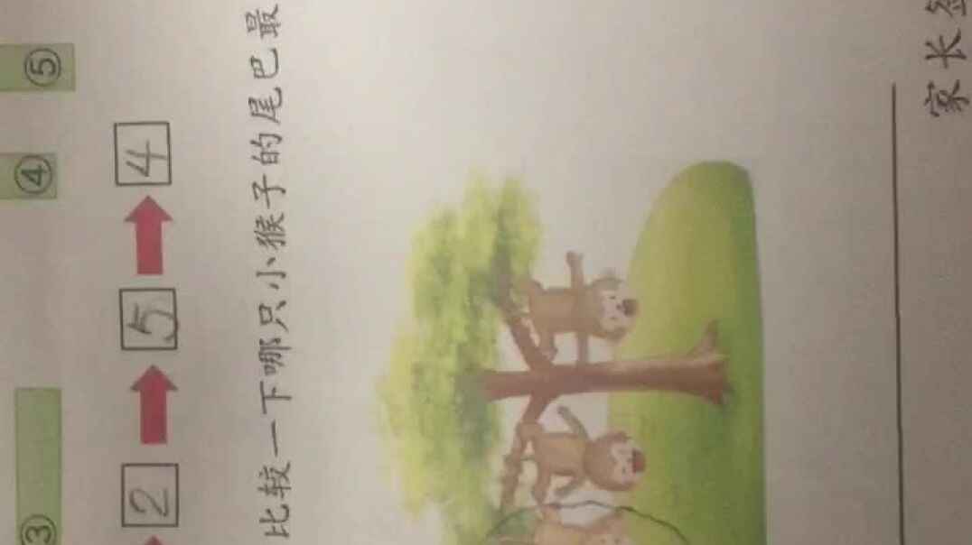 C5C92E2F-9EB2-4177-AABF-8F1E70365F05.MOV