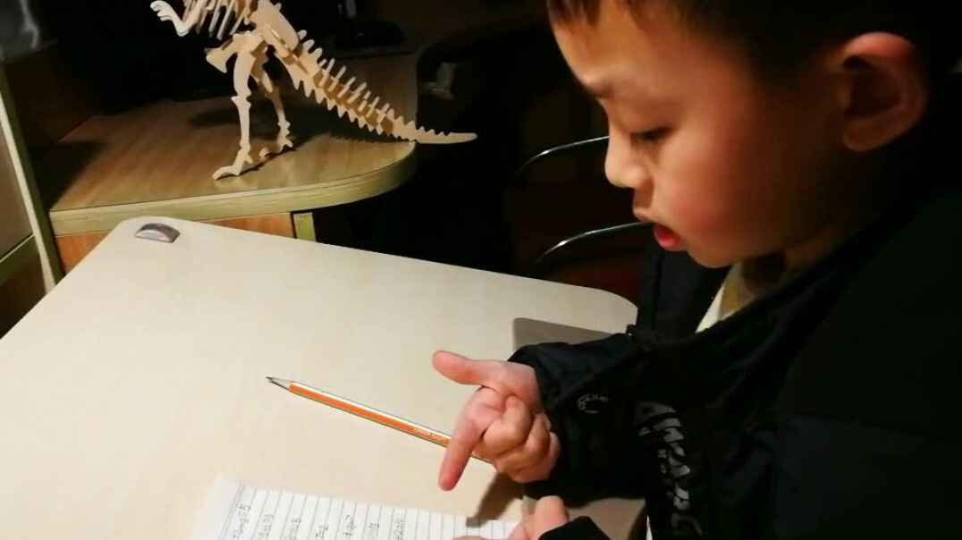 我的握笔姿势
