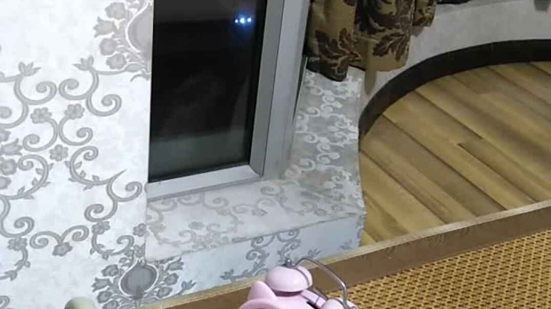 VID_20190909_201539.mp4