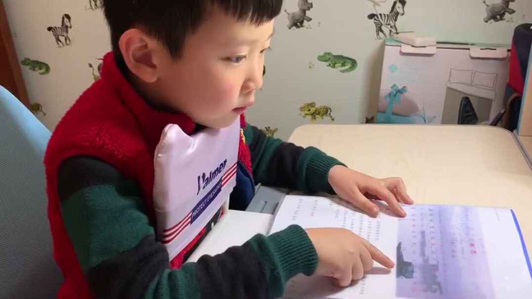 认真的看书