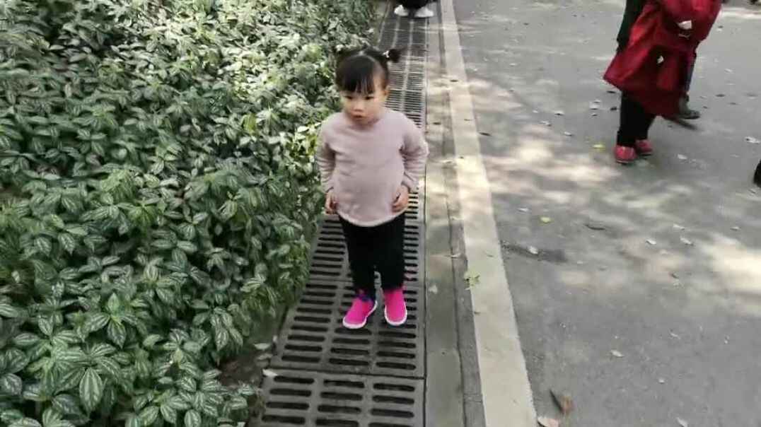 萌娃散步