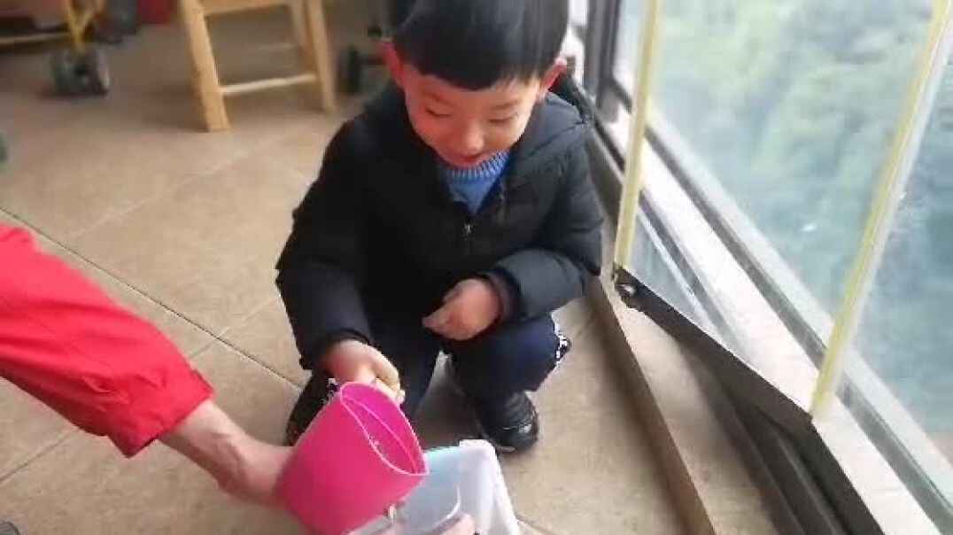 一起观察蒜苗