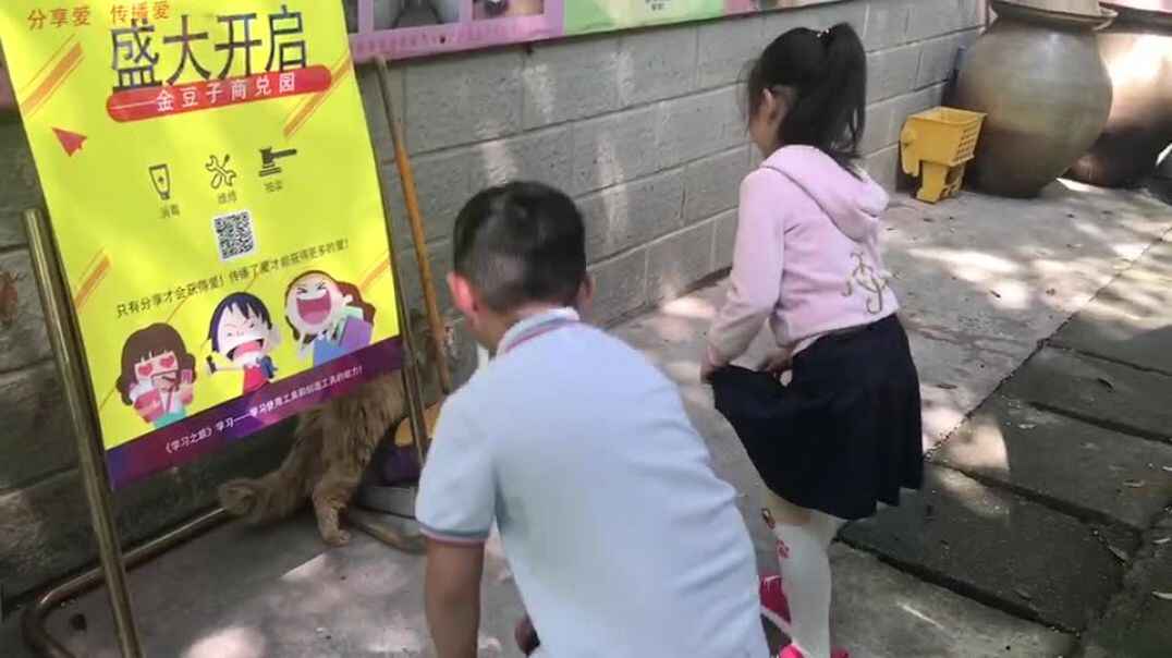 我的观察