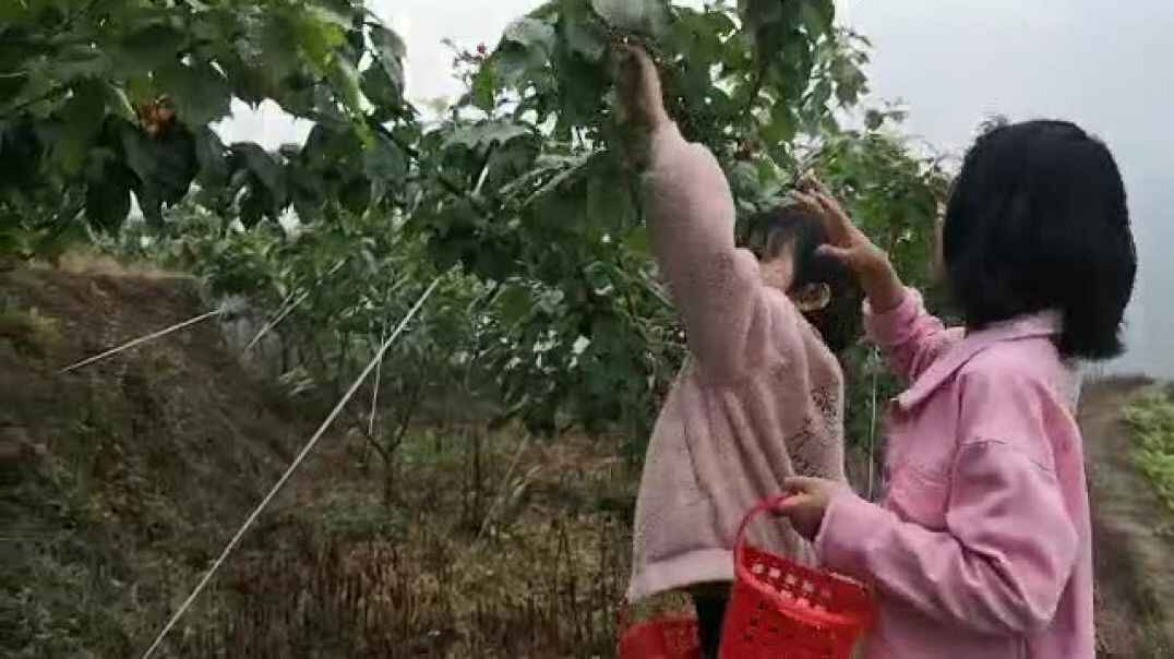 我来做一做9
