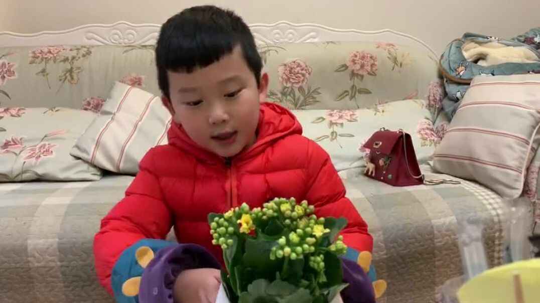 在家认识花