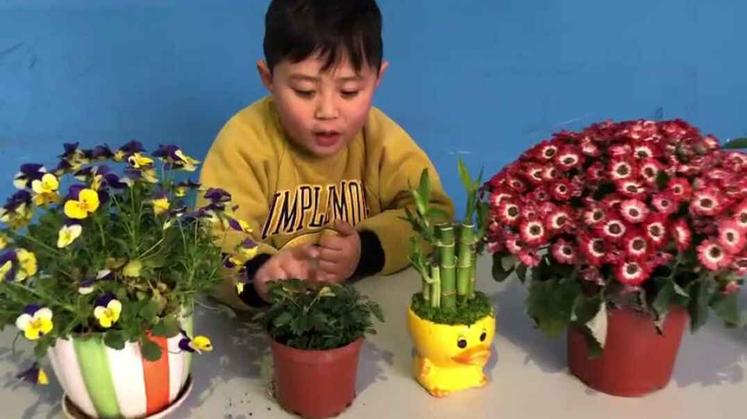 猜花名