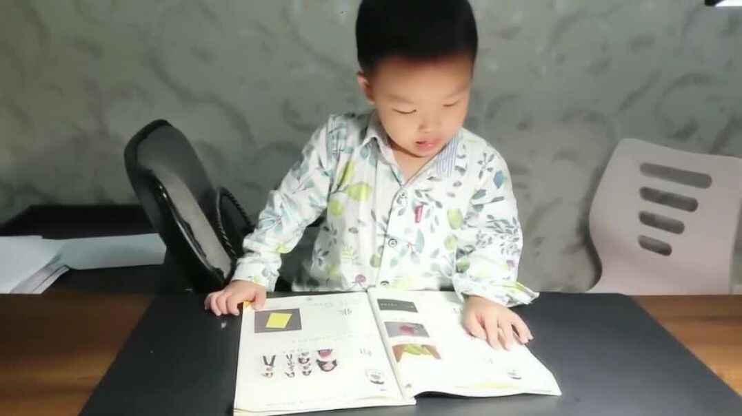 复习量词(二).mp4