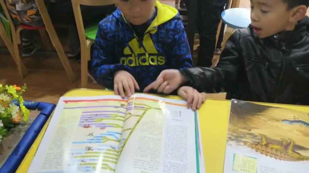 我的学习故事