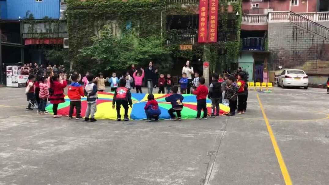 大花伞