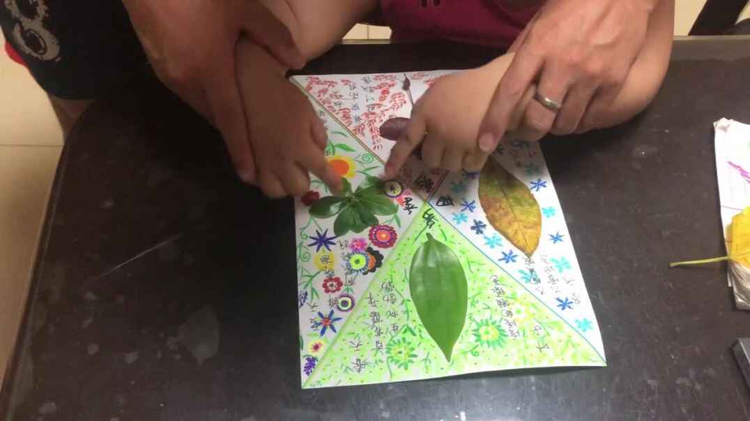 3A9D87C2-E868-4B2C-8C26-E2030291BFB0.MOV