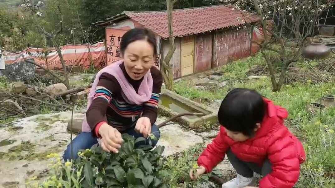 你见过这个植物吗