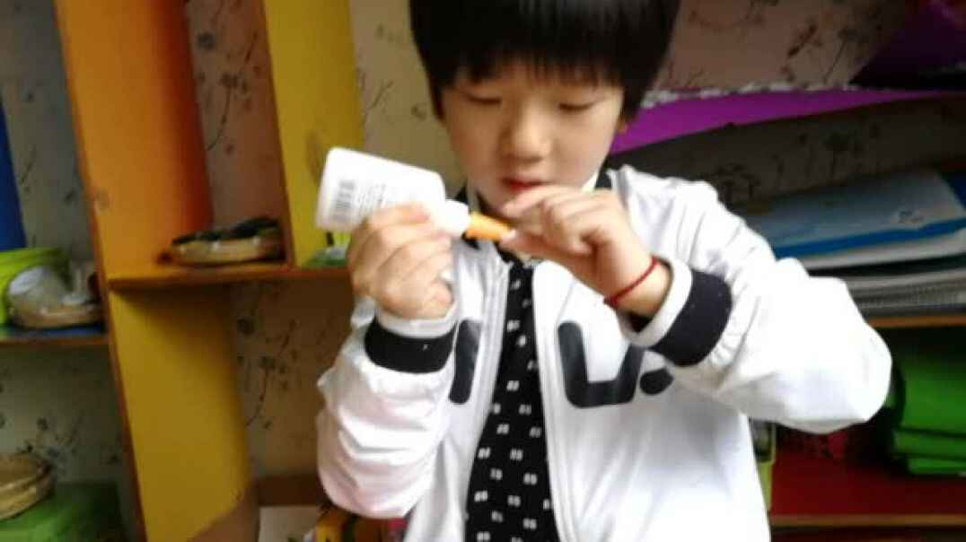 行动课程—品德与专注力3