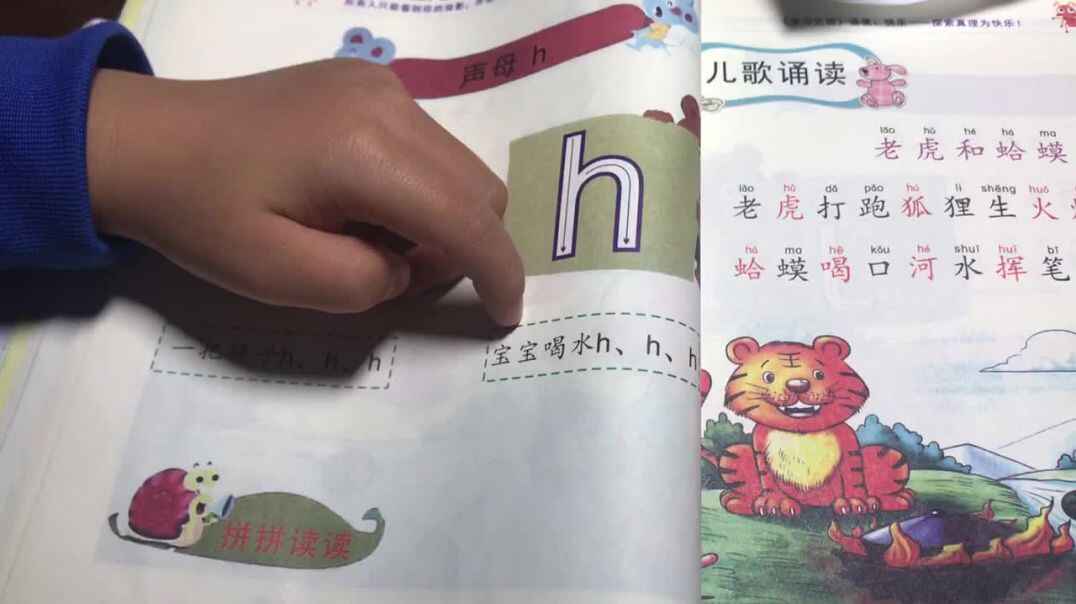 复习声母h