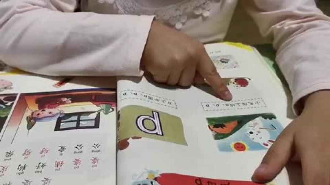 拼音P的练习