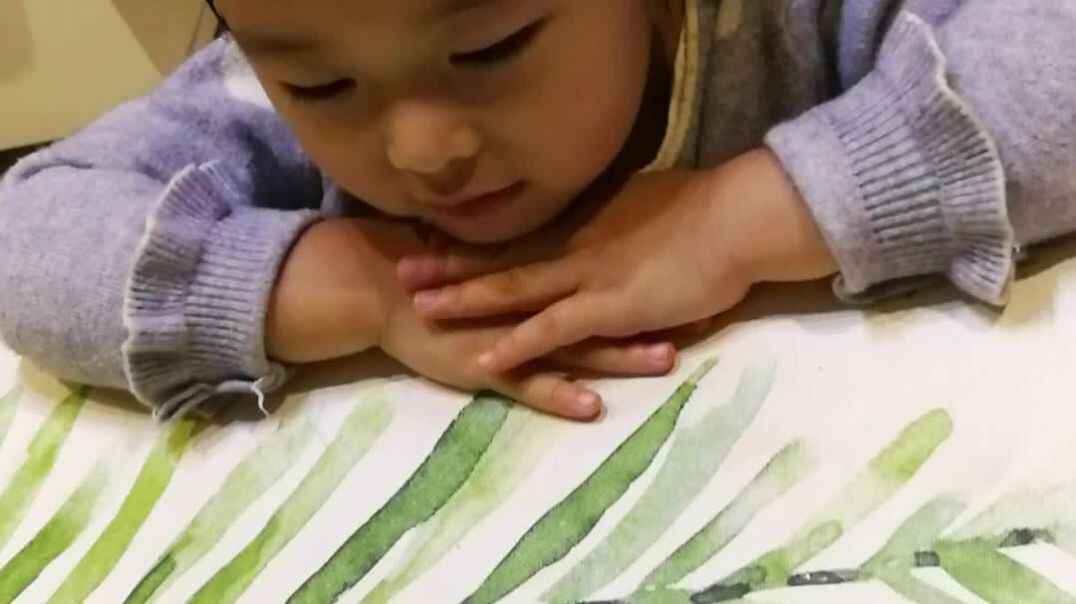 学读诗词
