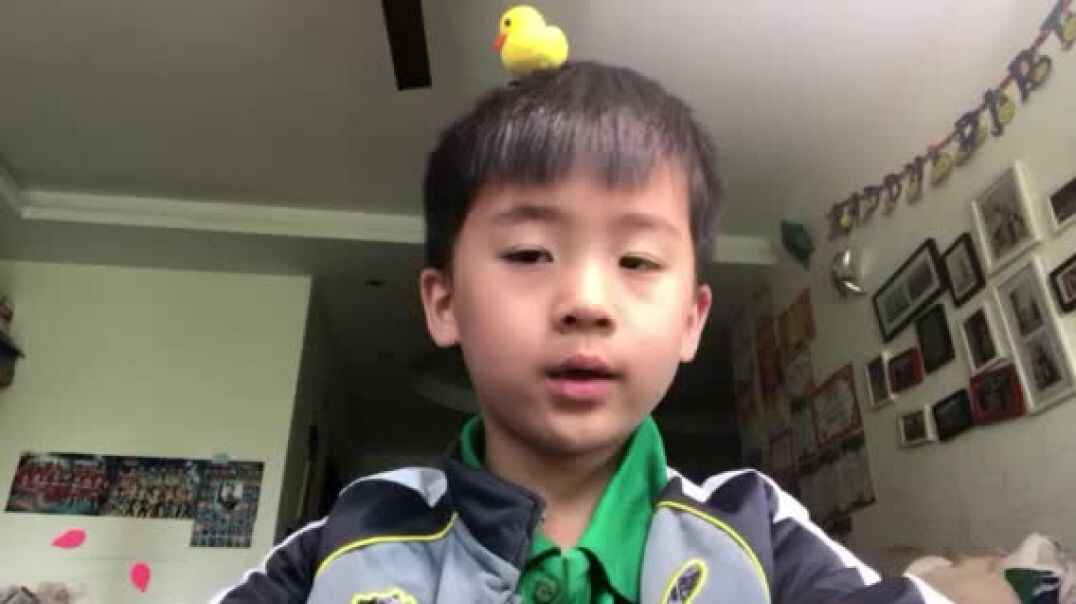 我的表演故事