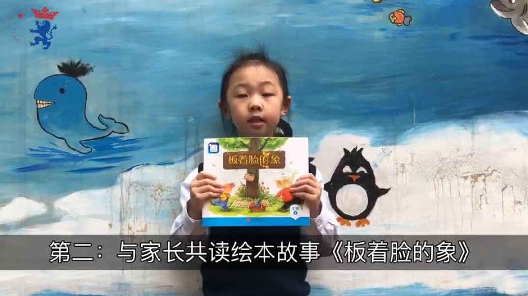 板着脸的象