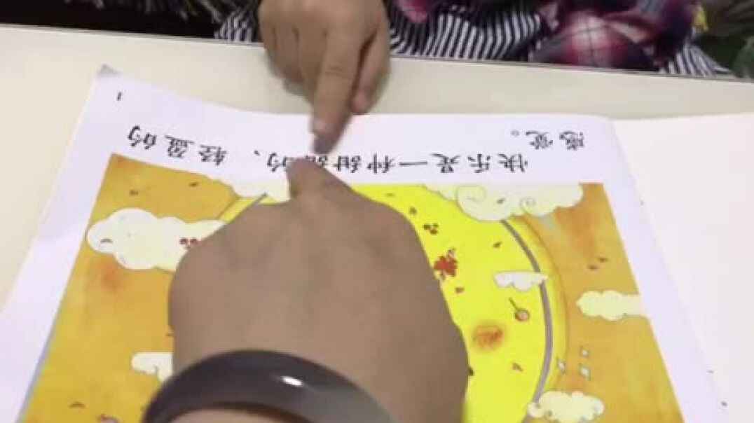 2019.10.13实验中班6号作业反馈