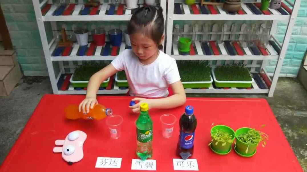 科学小实验
