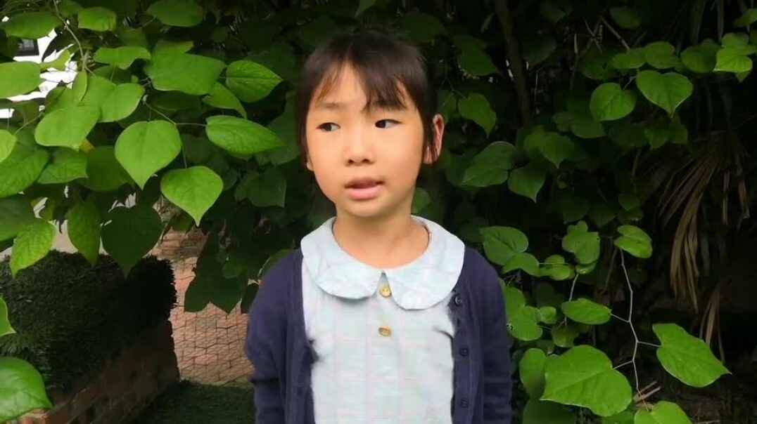 我的分享