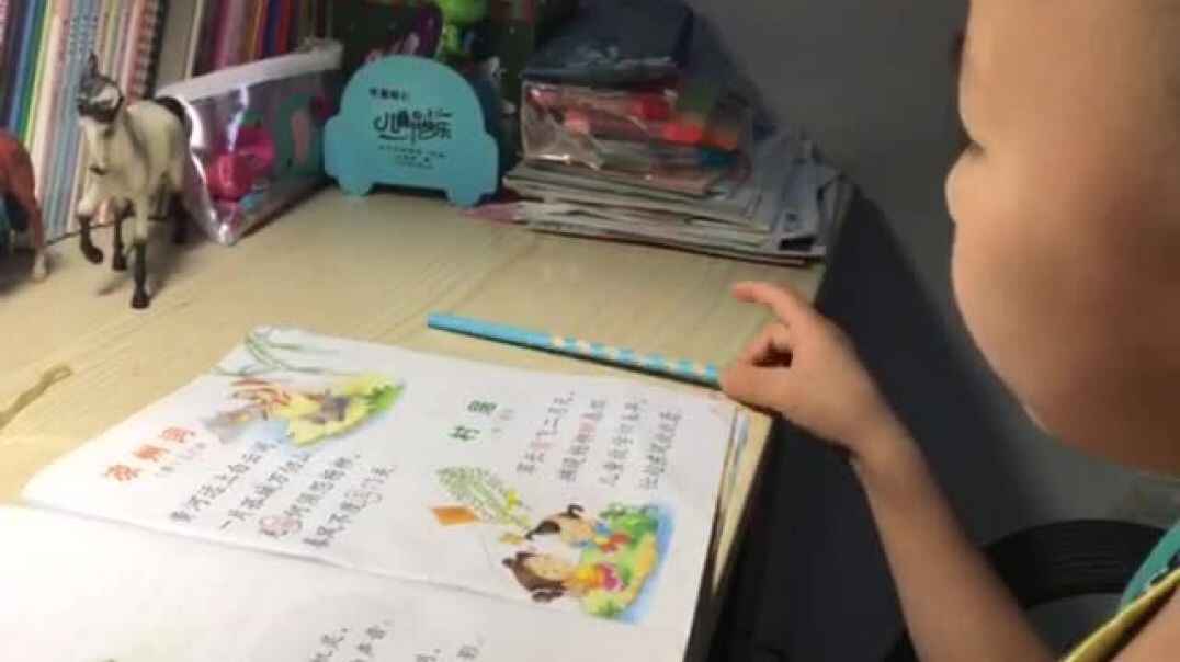 指读识字9