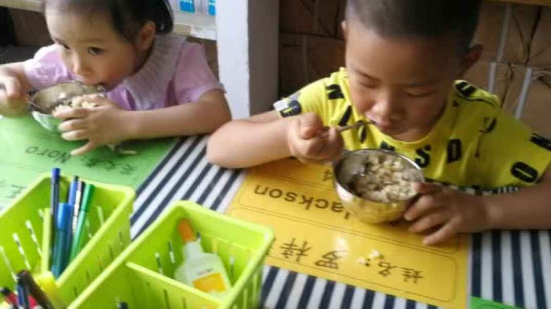 行动课程—品德与专注力6